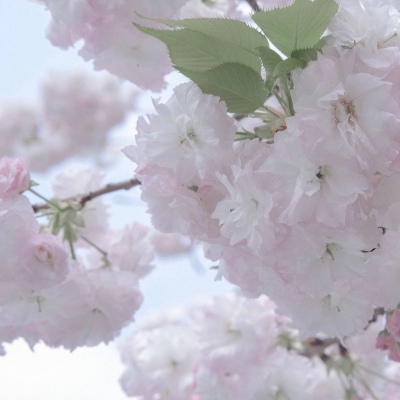 德阳FurryQQ群介绍